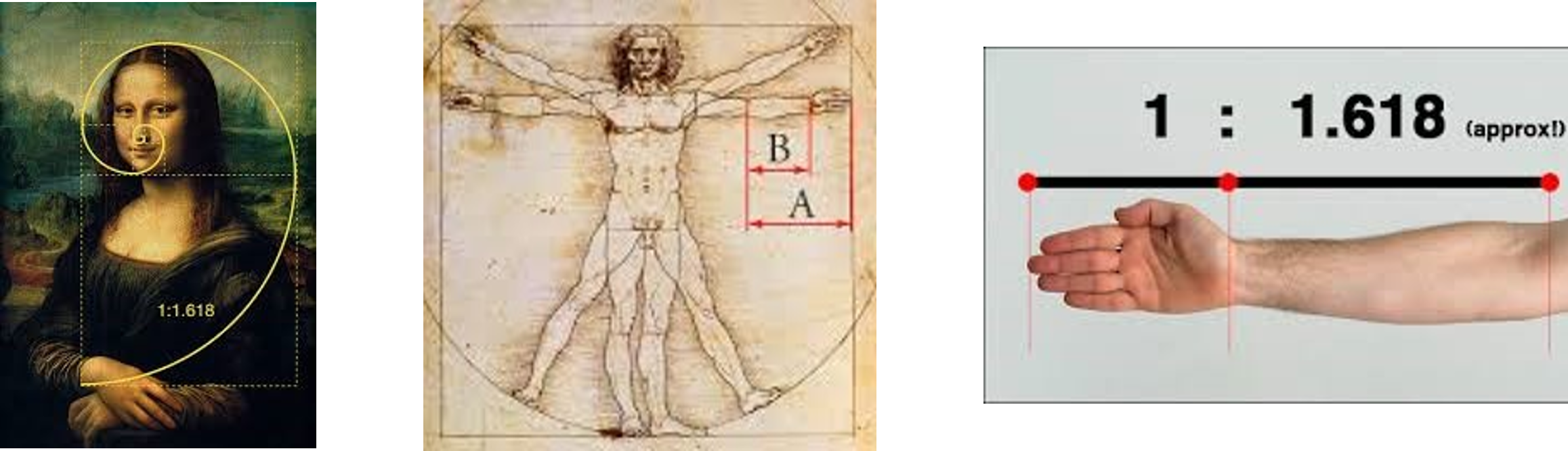 The Golden Ratio — Ian Phillips' Blog